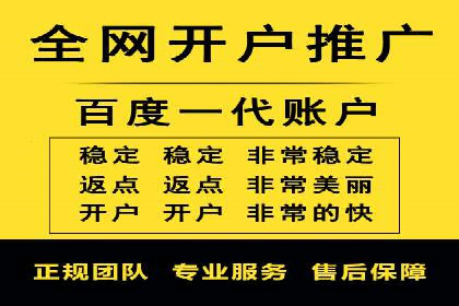 某电商平台的SEM推广策略——代运营公司的实践